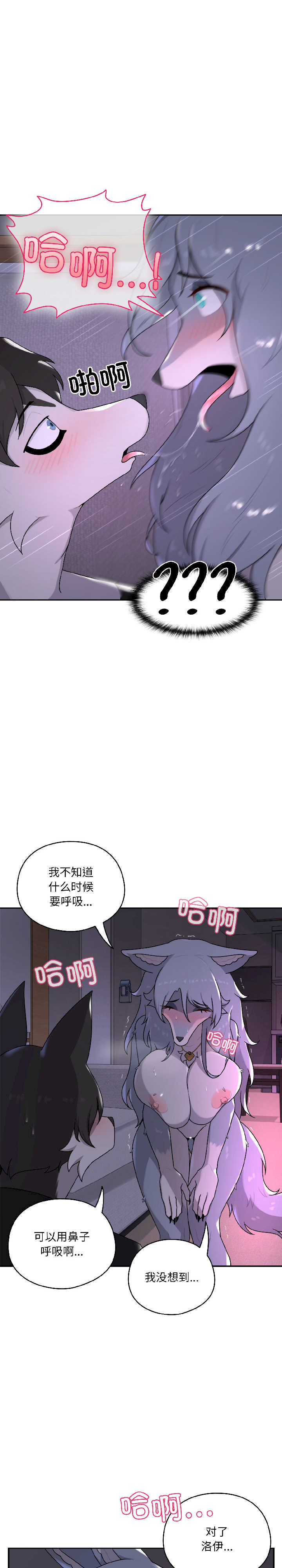 野兽的乐章/野兽的王国