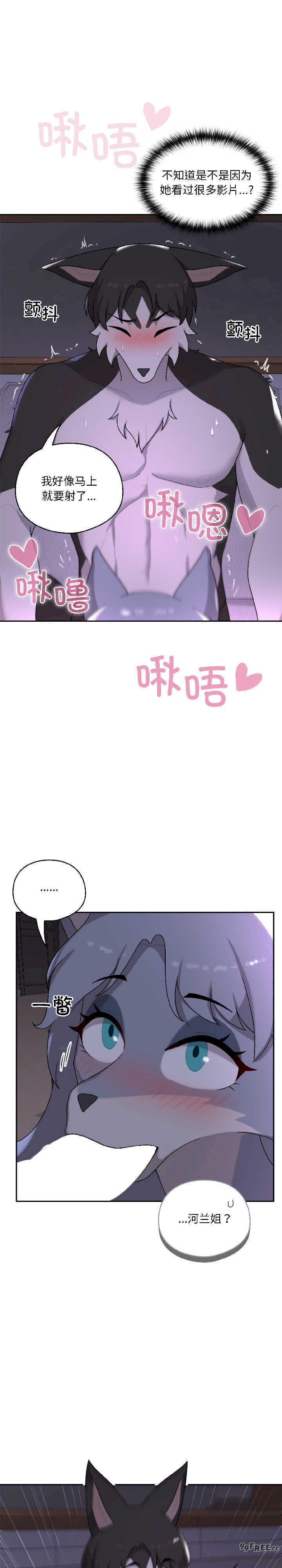 野兽的乐章/野兽的王国