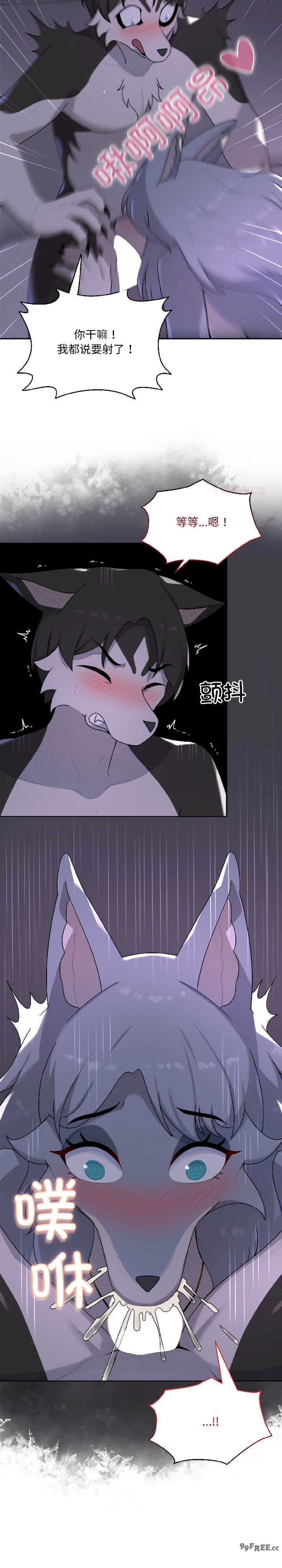 野兽的乐章/野兽的王国