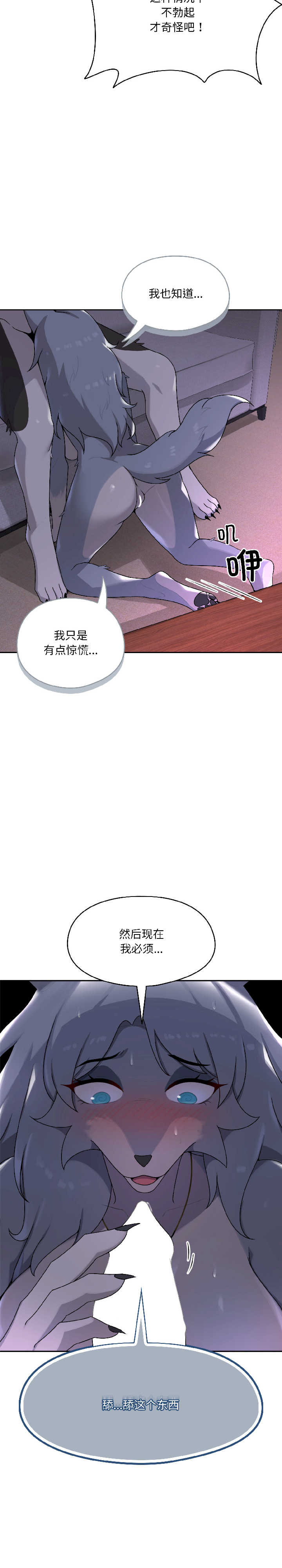 野兽的乐章/野兽的王国