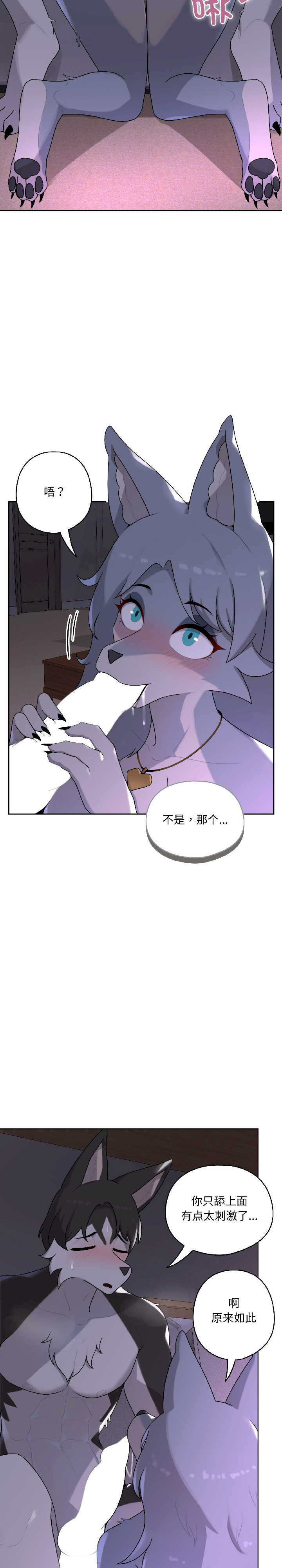 野兽的乐章/野兽的王国