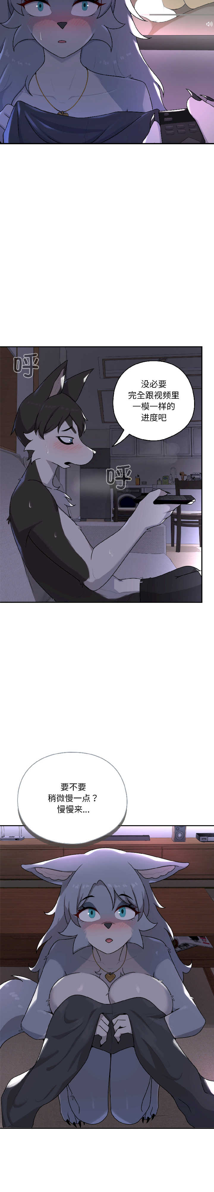 野兽的乐章/野兽的王国