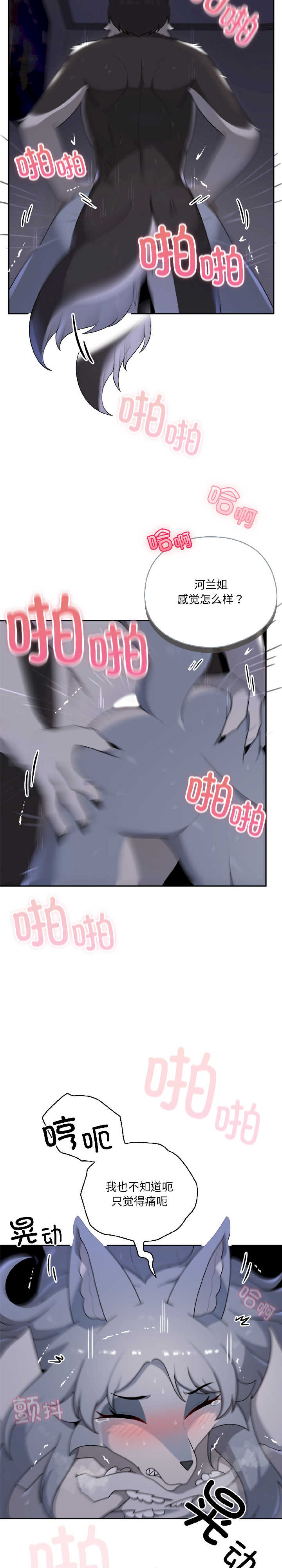 野兽的乐章/野兽的王国