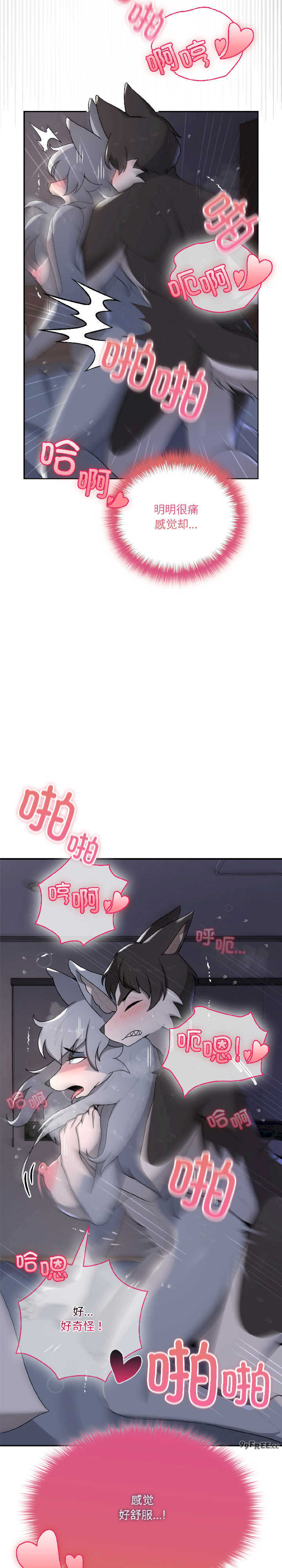 野兽的乐章/野兽的王国