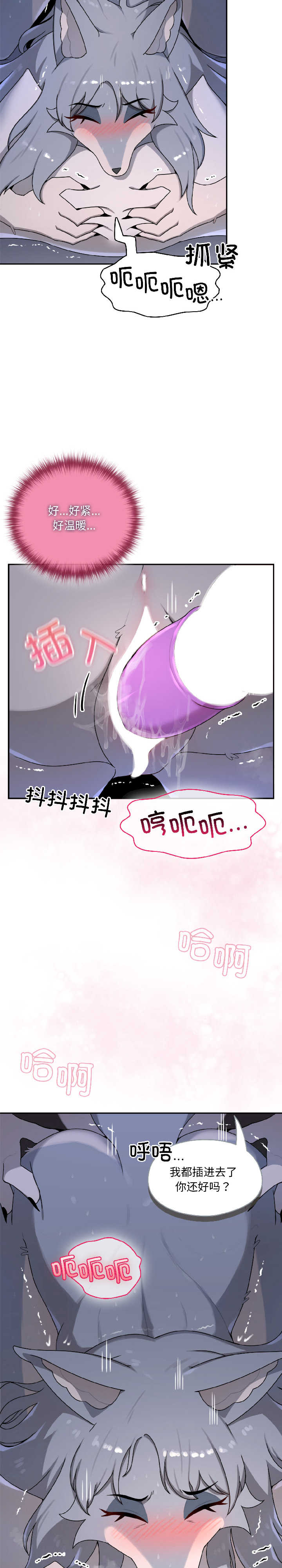 野兽的乐章/野兽的王国