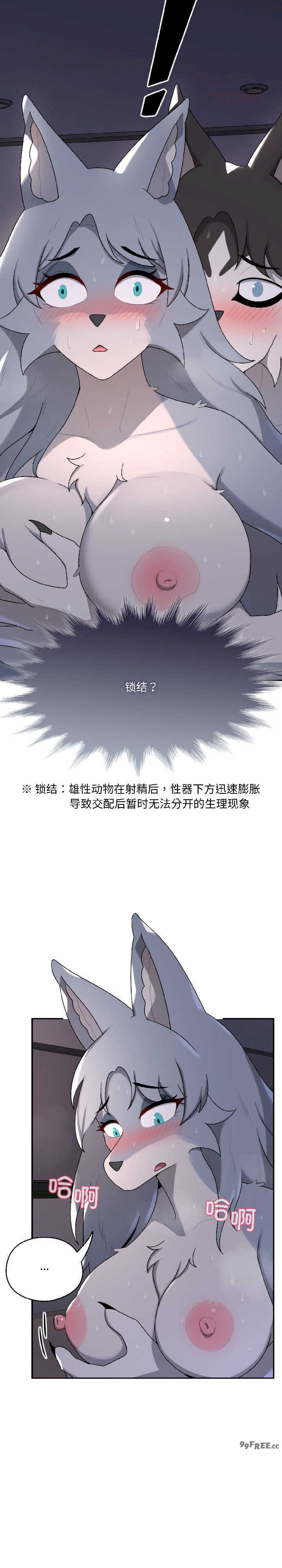 野兽的乐章/野兽的王国