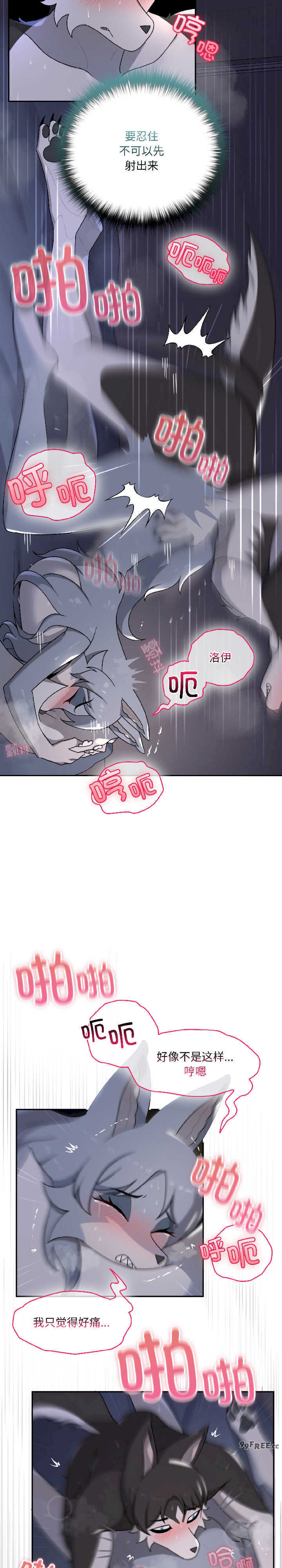 野兽的乐章/野兽的王国