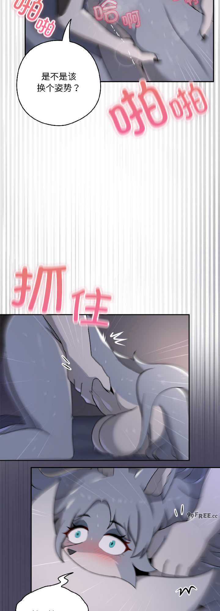 野兽的乐章/野兽的王国