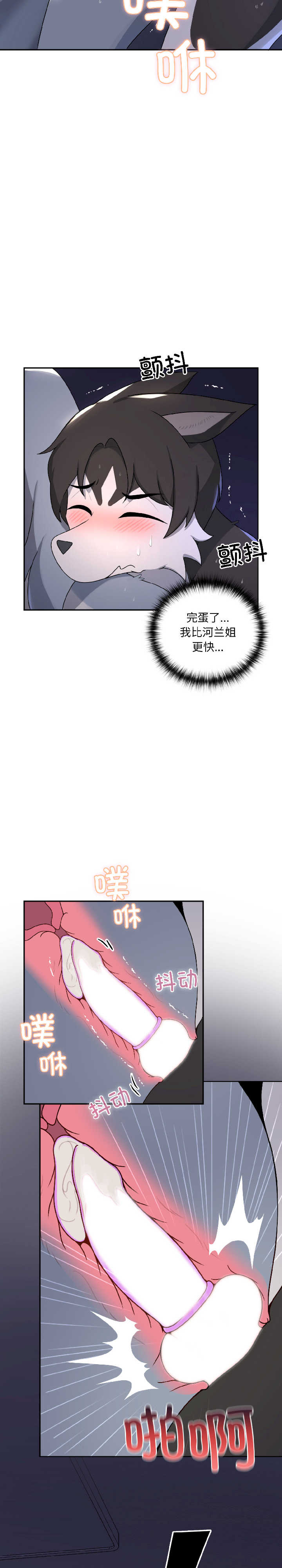 野兽的乐章/野兽的王国