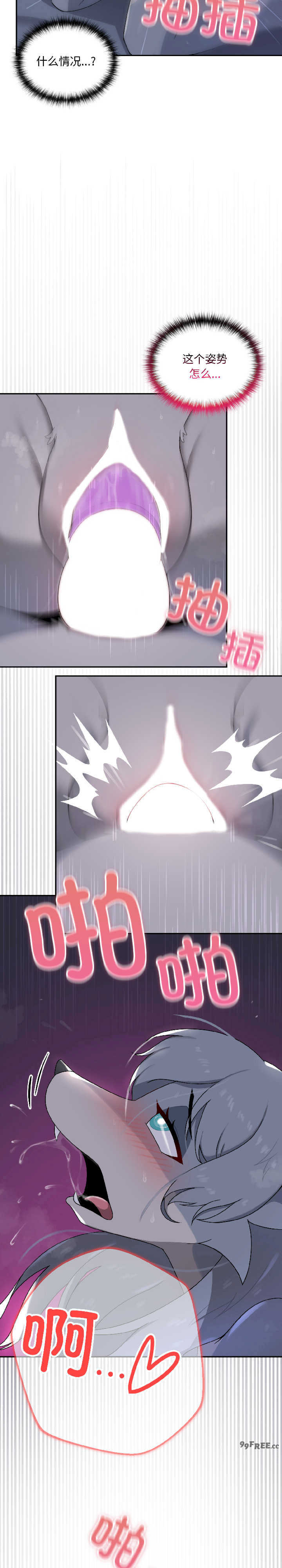 野兽的乐章/野兽的王国