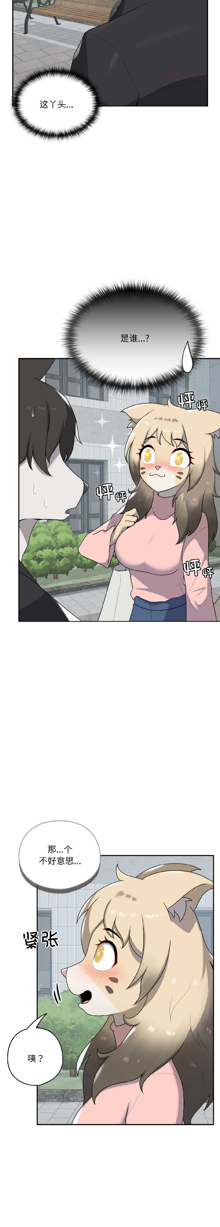 野兽的乐章/野兽的王国