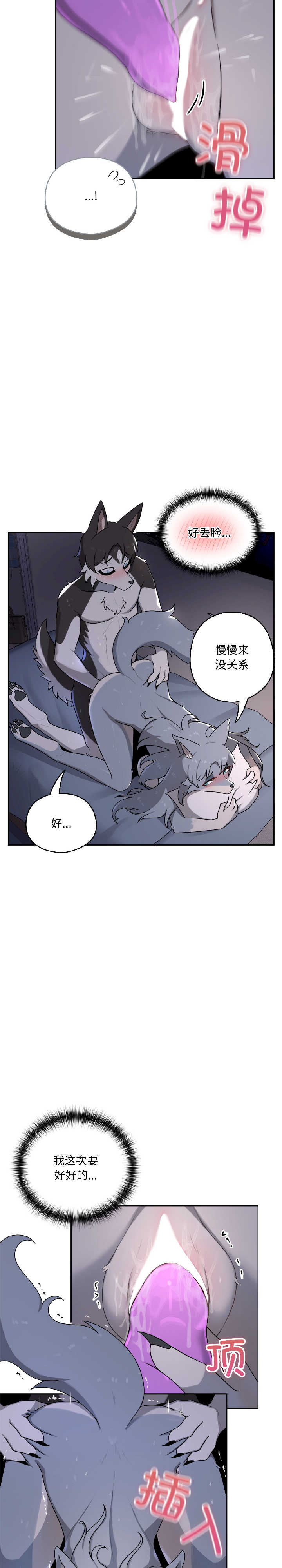 野兽的乐章/野兽的王国