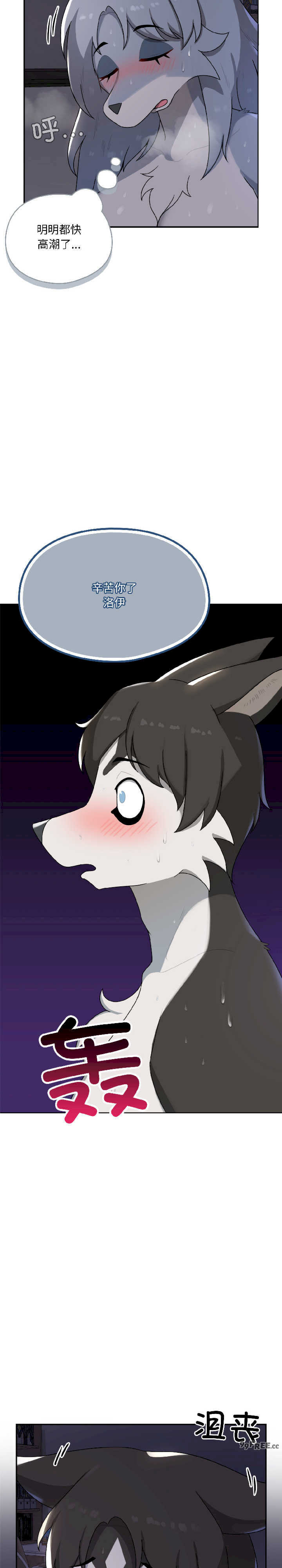 野兽的乐章/野兽的王国