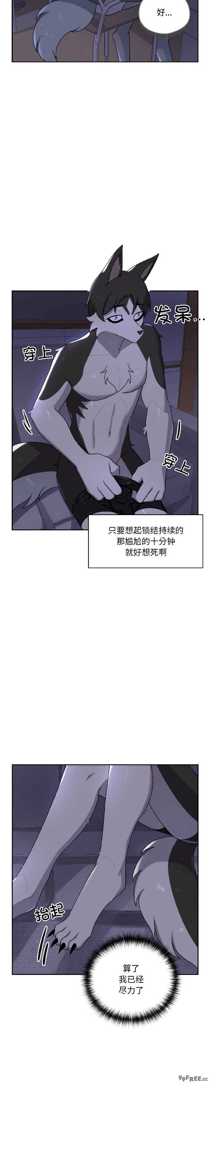 野兽的乐章/野兽的王国