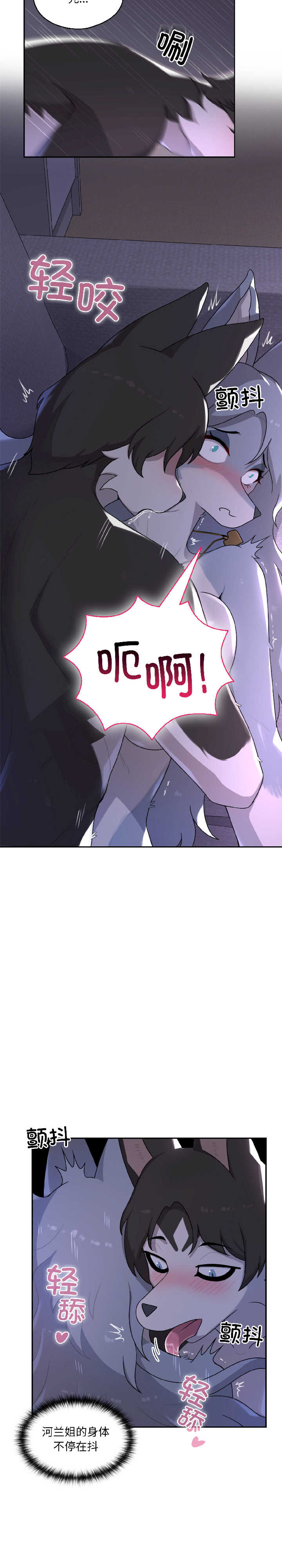 野兽的乐章/野兽的王国