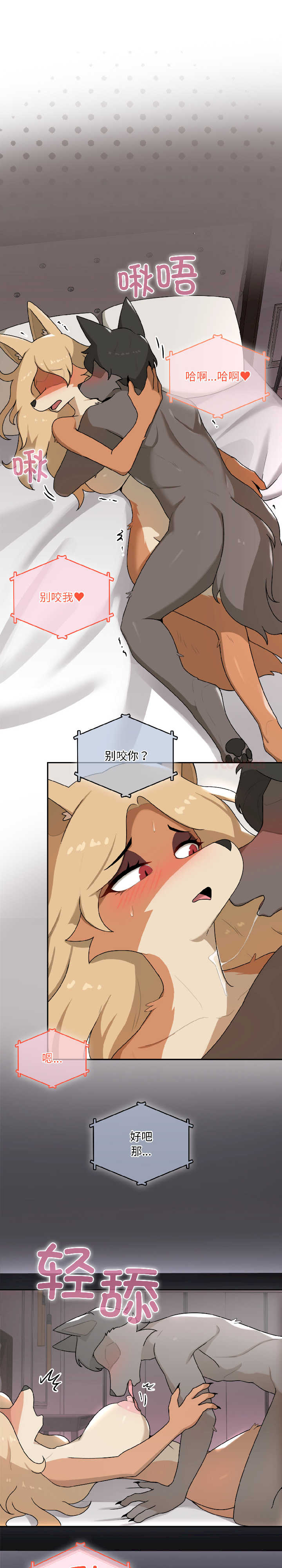 野兽的乐章/野兽的王国