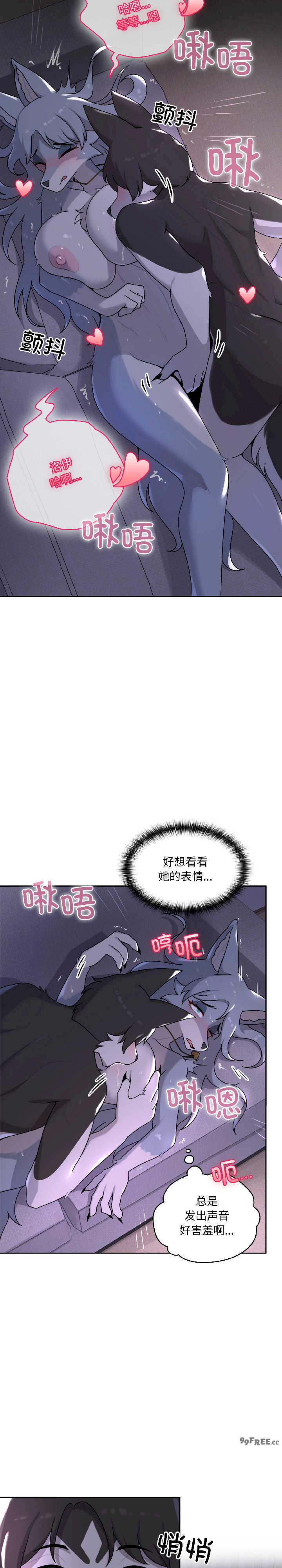 野兽的乐章/野兽的王国