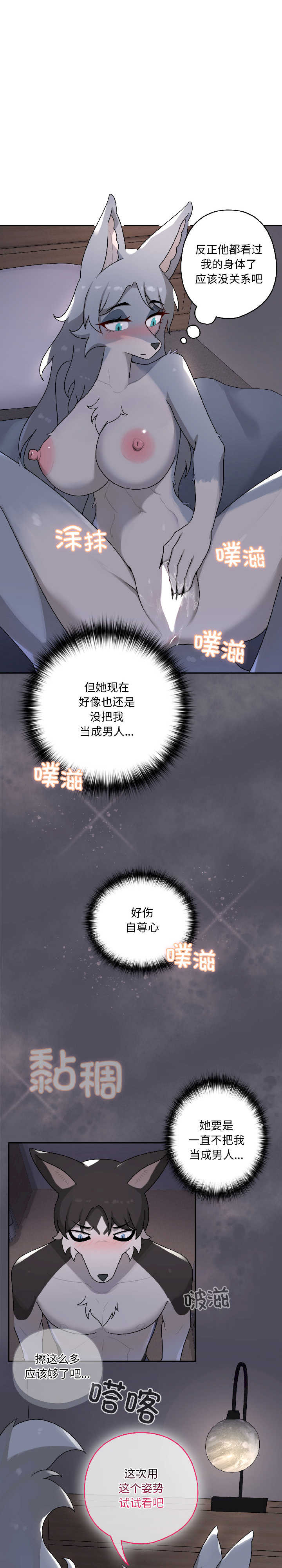 野兽的乐章/野兽的王国