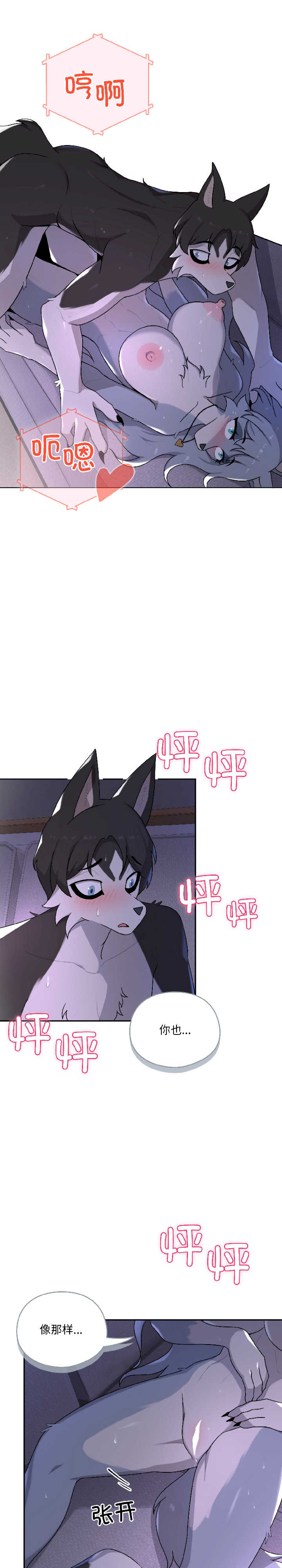 野兽的乐章/野兽的王国