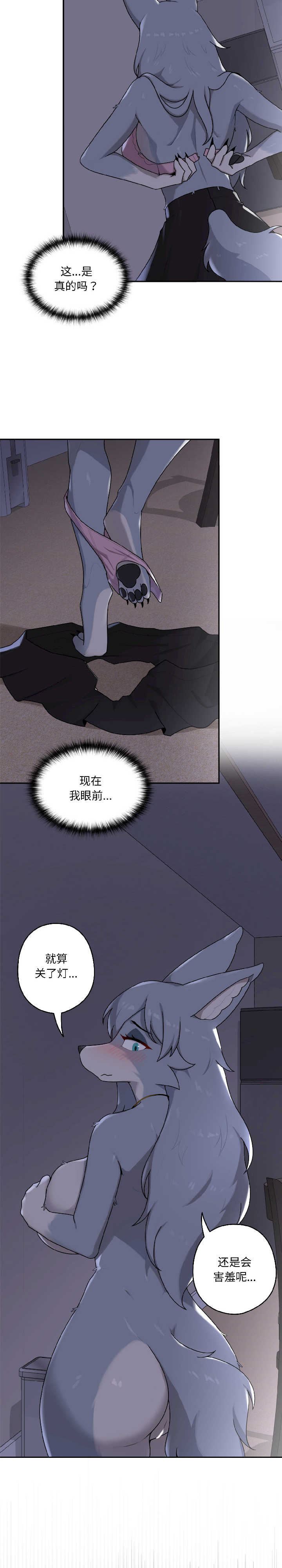 野兽的乐章/野兽的王国