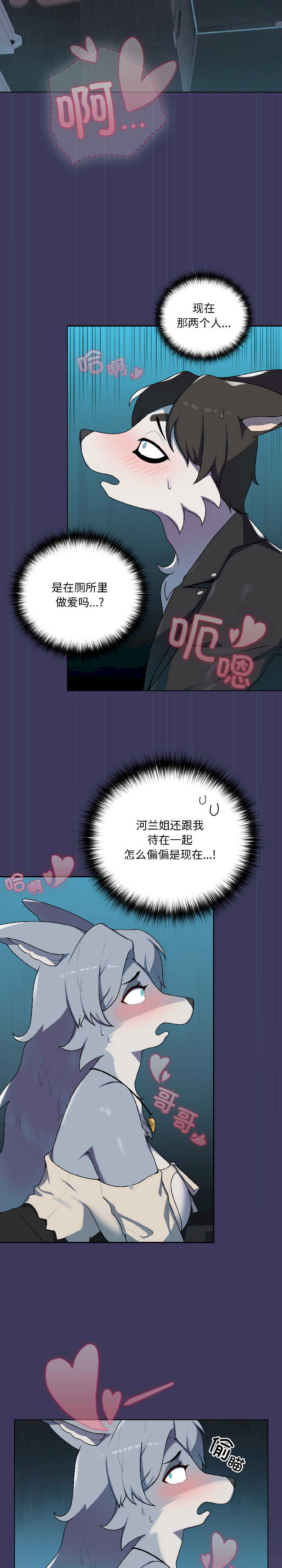 野兽的乐章/野兽的王国