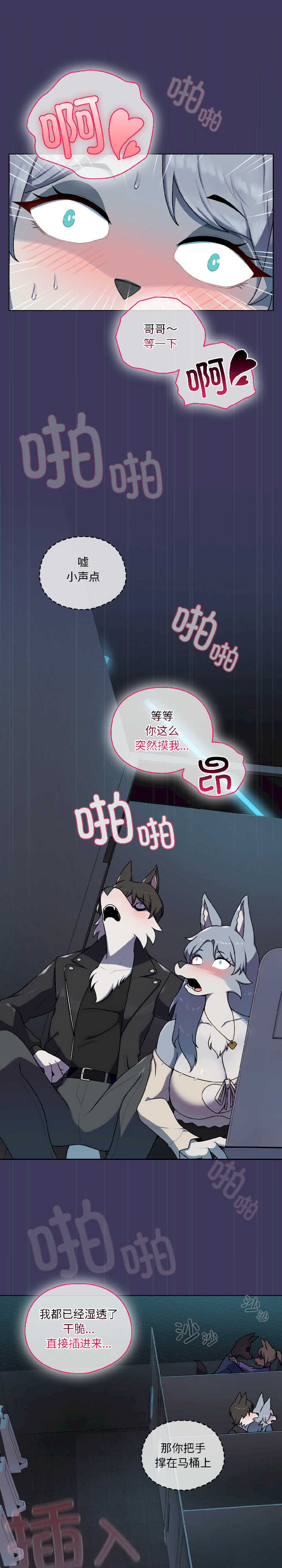 野兽的乐章/野兽的王国