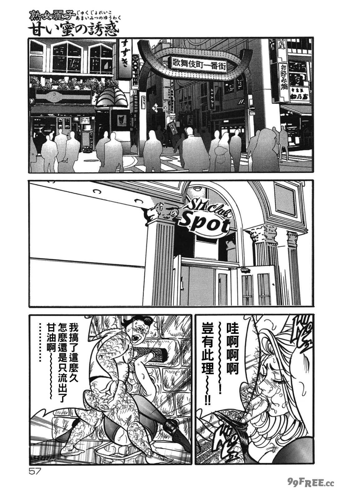 [エンジ] 熟女麗子 甘い蜜の誘惑 [战栗的大白菜汉化]