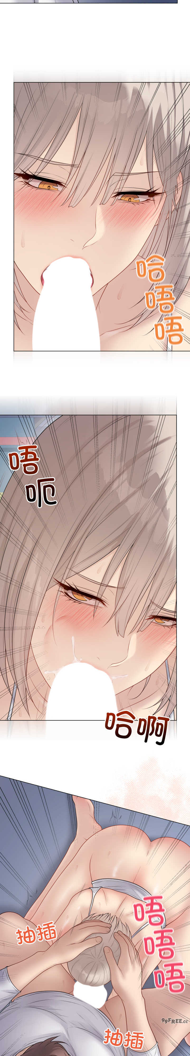 最后的冲刺/冲刺重考班