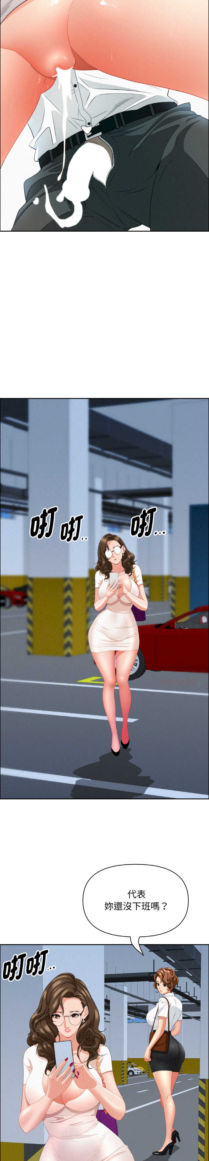 贵妇的专属保镖