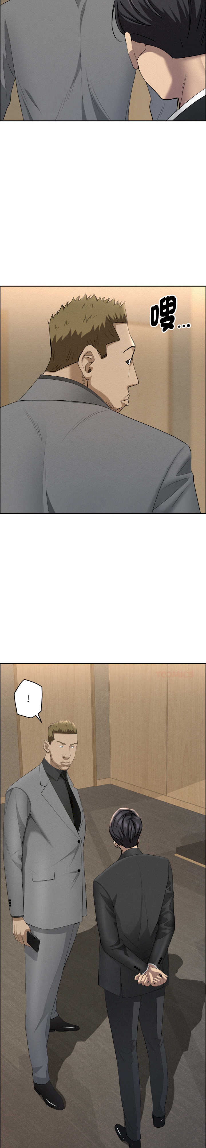 贵妇的专属保镖