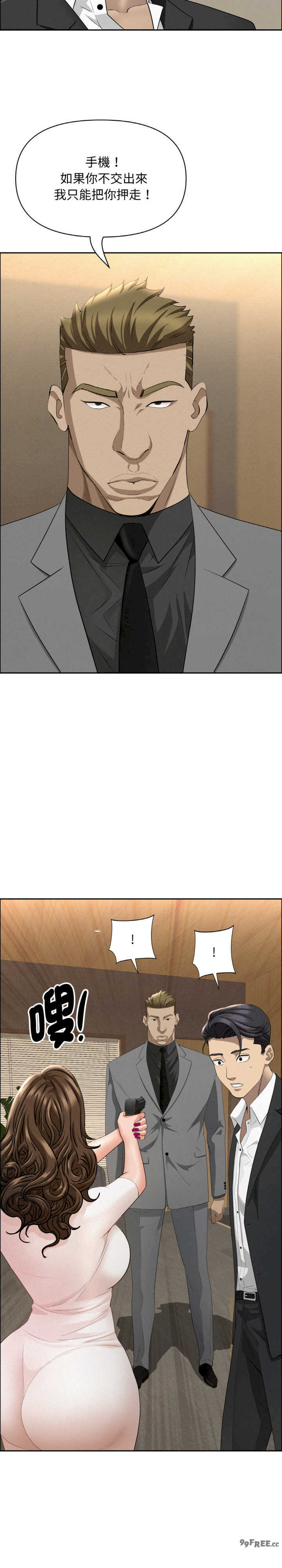 贵妇的专属保镖