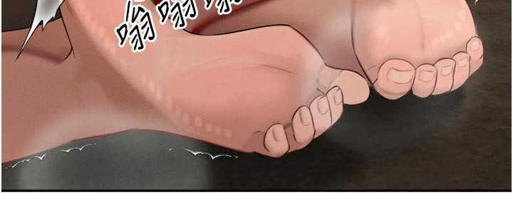 暴君会长的娇媳们