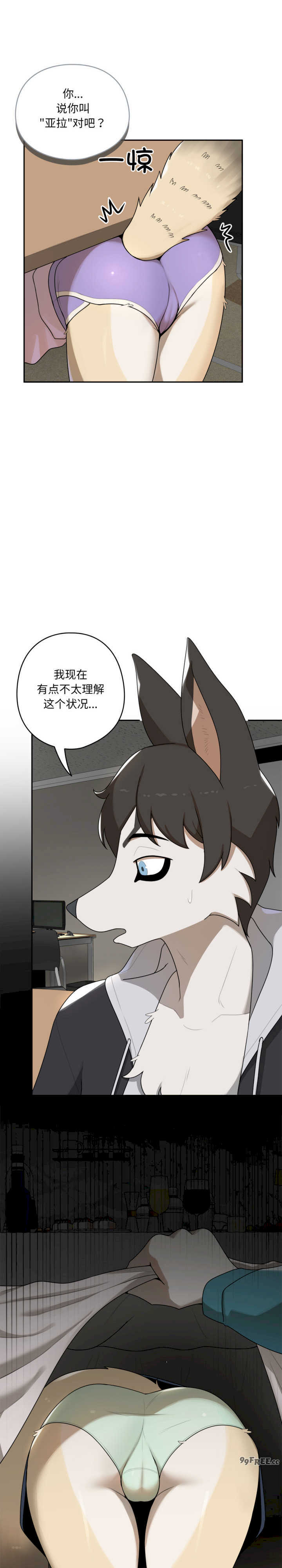 野兽的乐章/野兽的王国