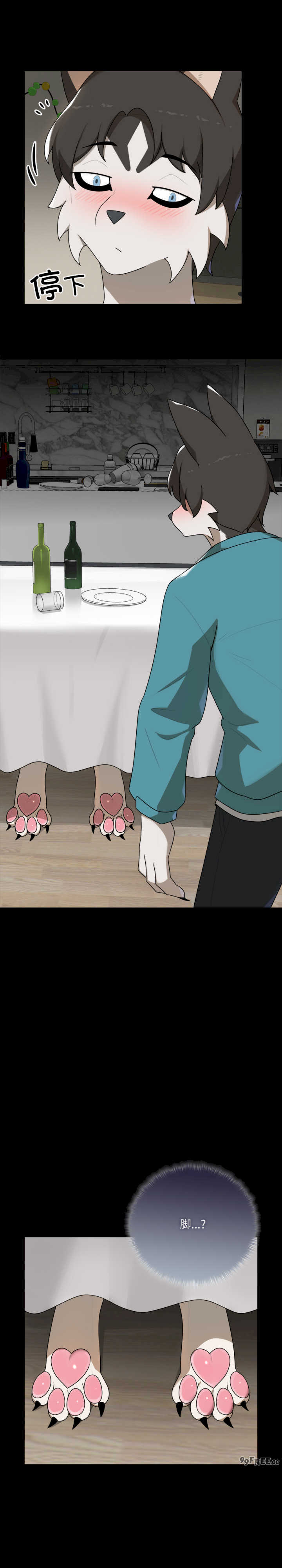 野兽的乐章/野兽的王国