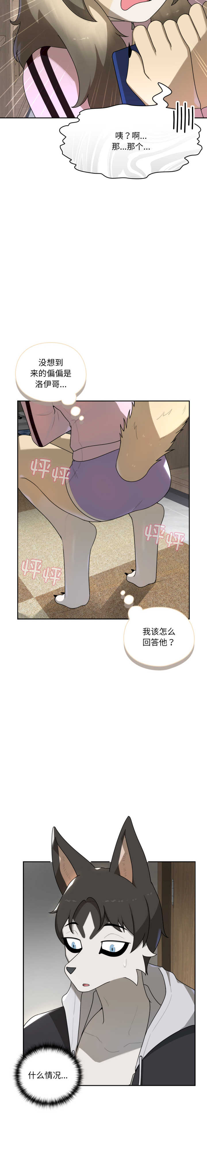 野兽的乐章/野兽的王国